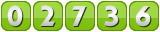 website hit counter